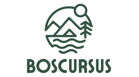 Boscursus