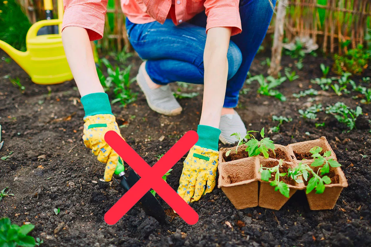 3 dingen die je absoluut niet moet doen in je tuin in het voorjaar.