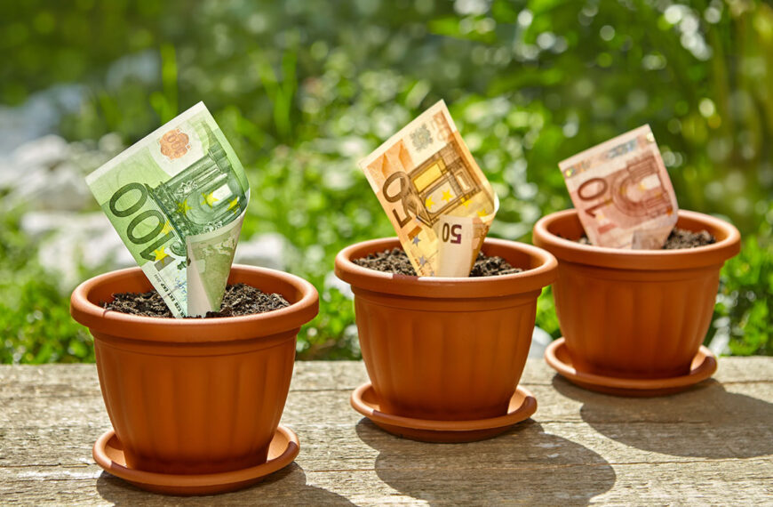 Hier zijn de beste tips om geld te verdienen met je tuin