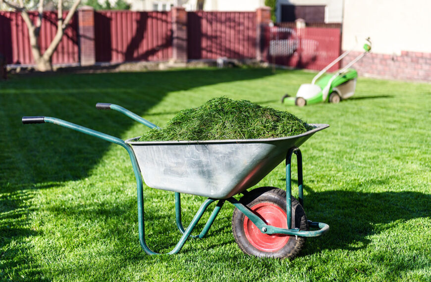 Kan het maaien van het gazon dienen als mulch en meststof voor mijn tuin?