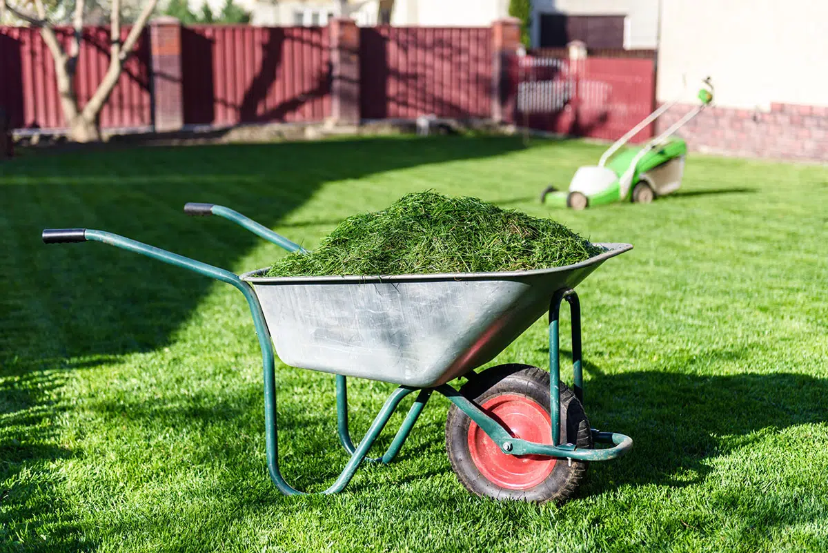 Kan het maaien van het gazon dienen als mulch en meststof voor mijn tuin?