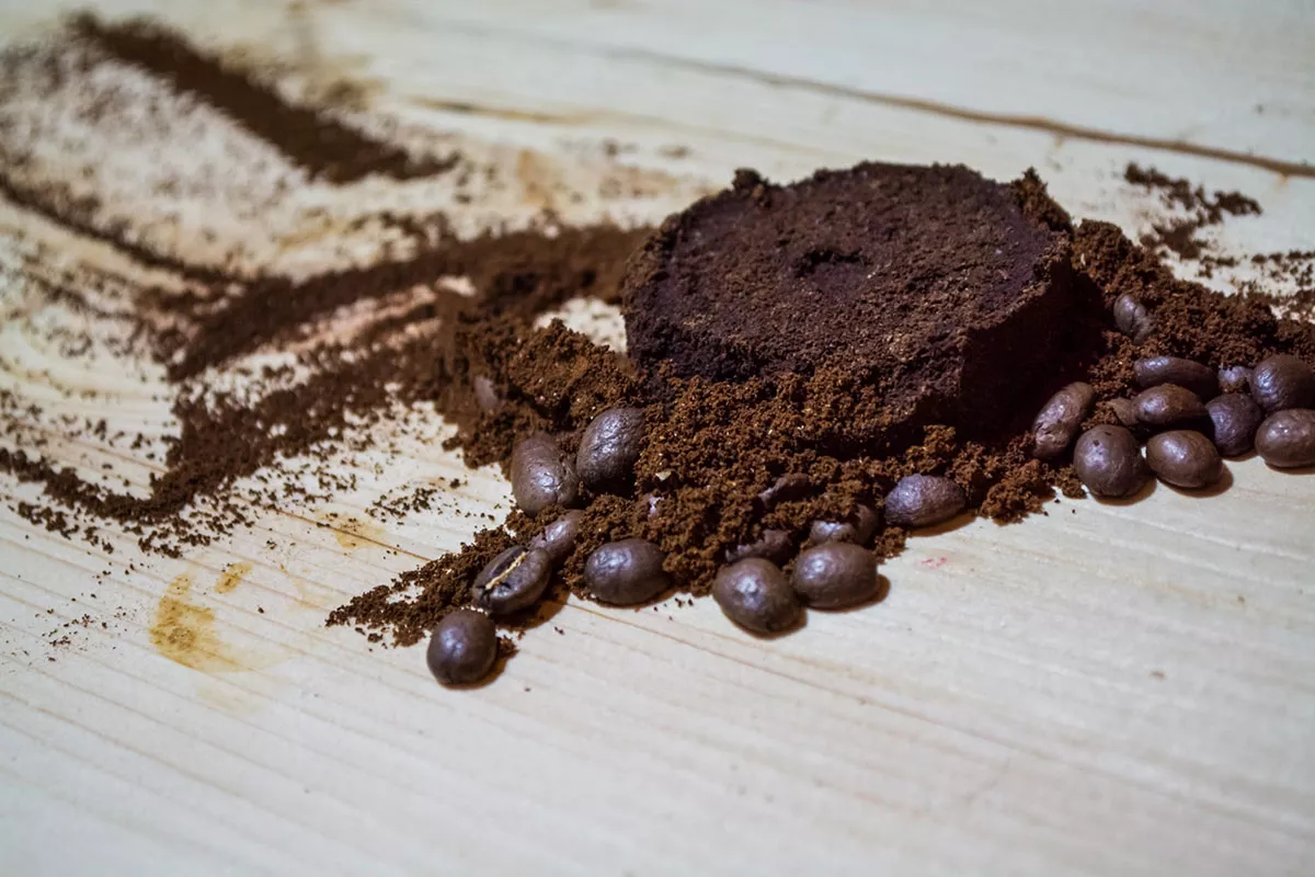 Welke planten houden niet van koffiedik
