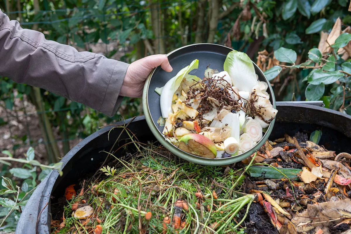 compost maken