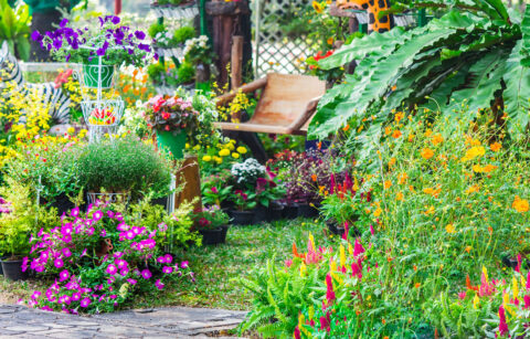 een kleine tuin aanleggen