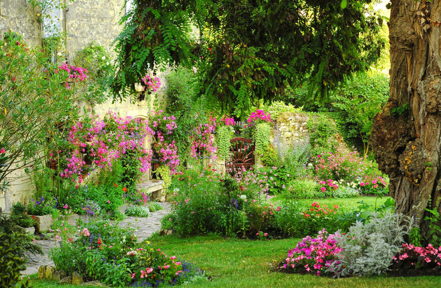 5 tips om je tuin te transformeren zonder failliet te gaan