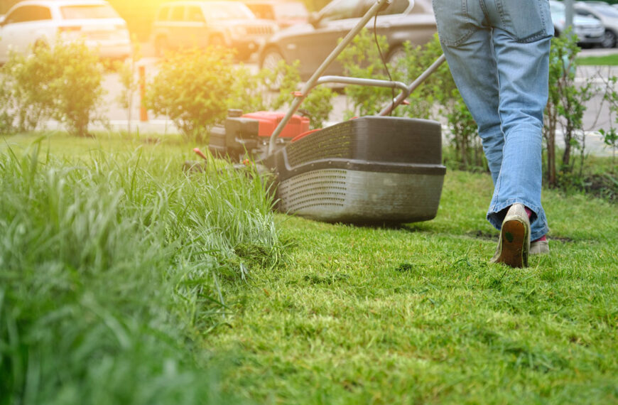 De beste tips voor hergebruik van het grasafval
