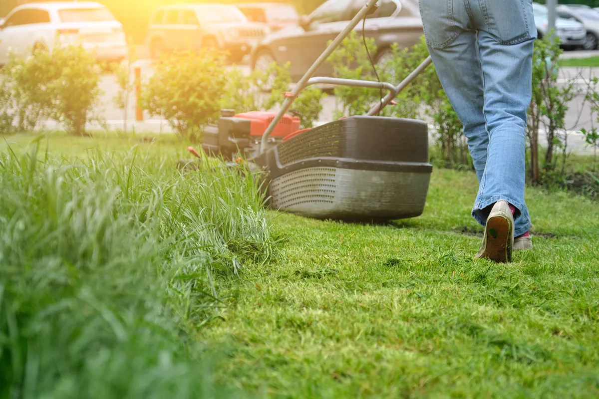 De beste tips voor hergebruik van het grasafval
