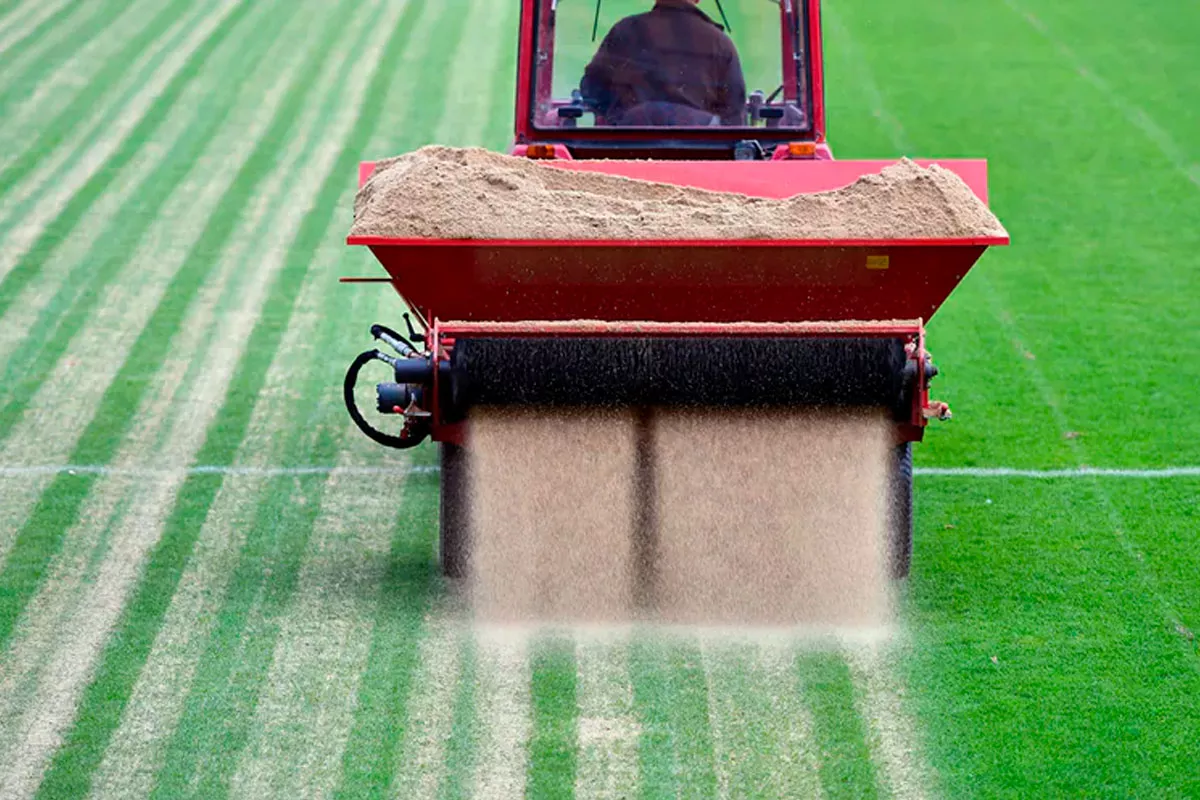 Volgens deze tuinman is dit de belangrijkste reden om zand aan uw gazon toe te voegen