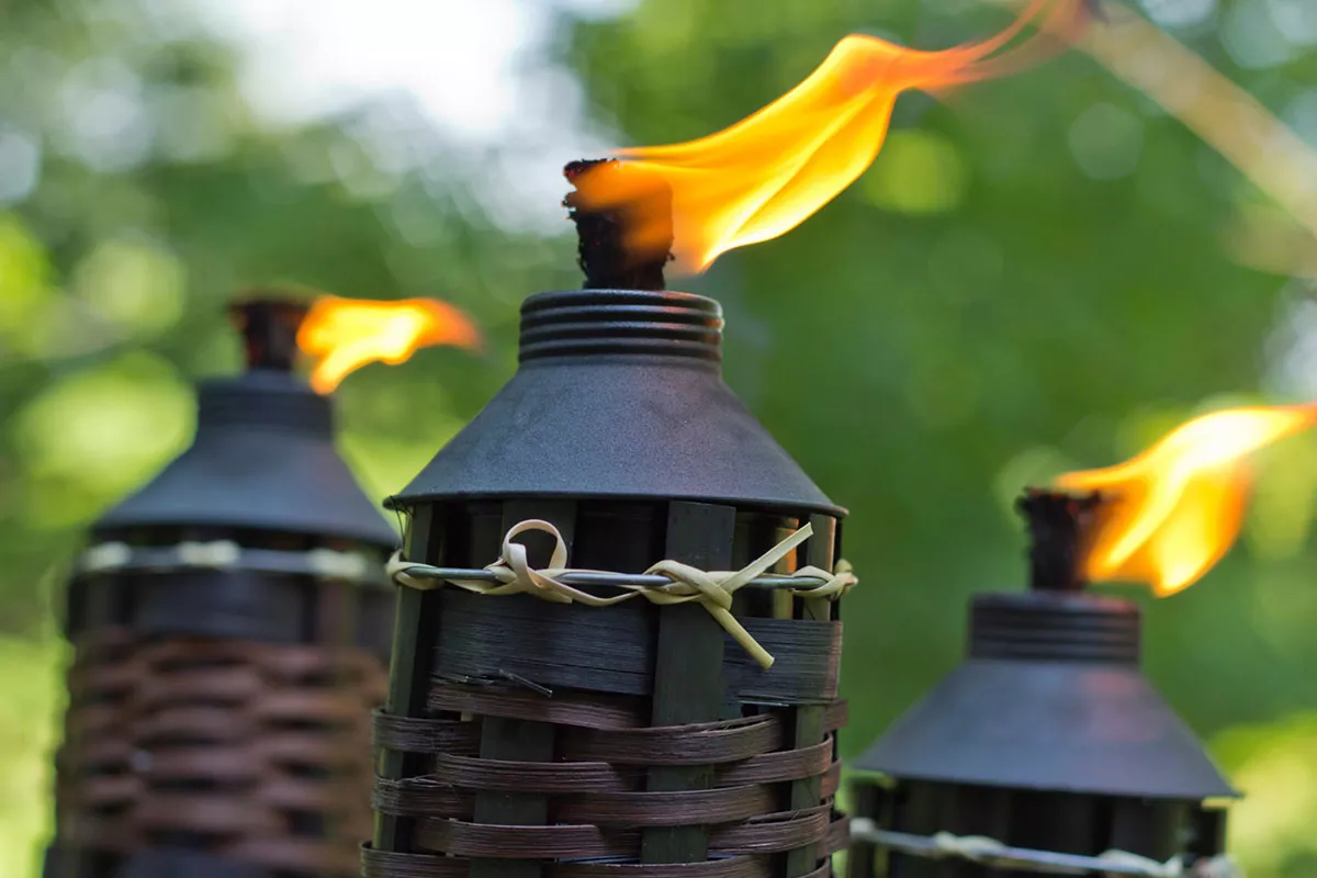 Werden muggen echt afgestoten door citronella