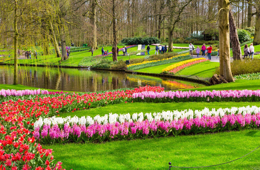De tuin trends voor het jaar 2025 onthuld