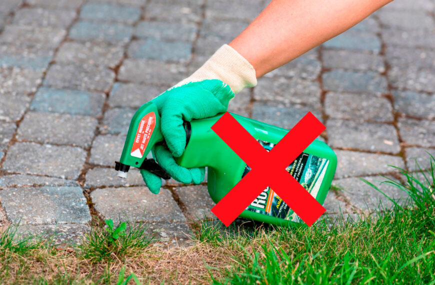 Deze professional onthult zijn 5 zeer effectieve recepten voor natuurlijke onkruidverdelgers