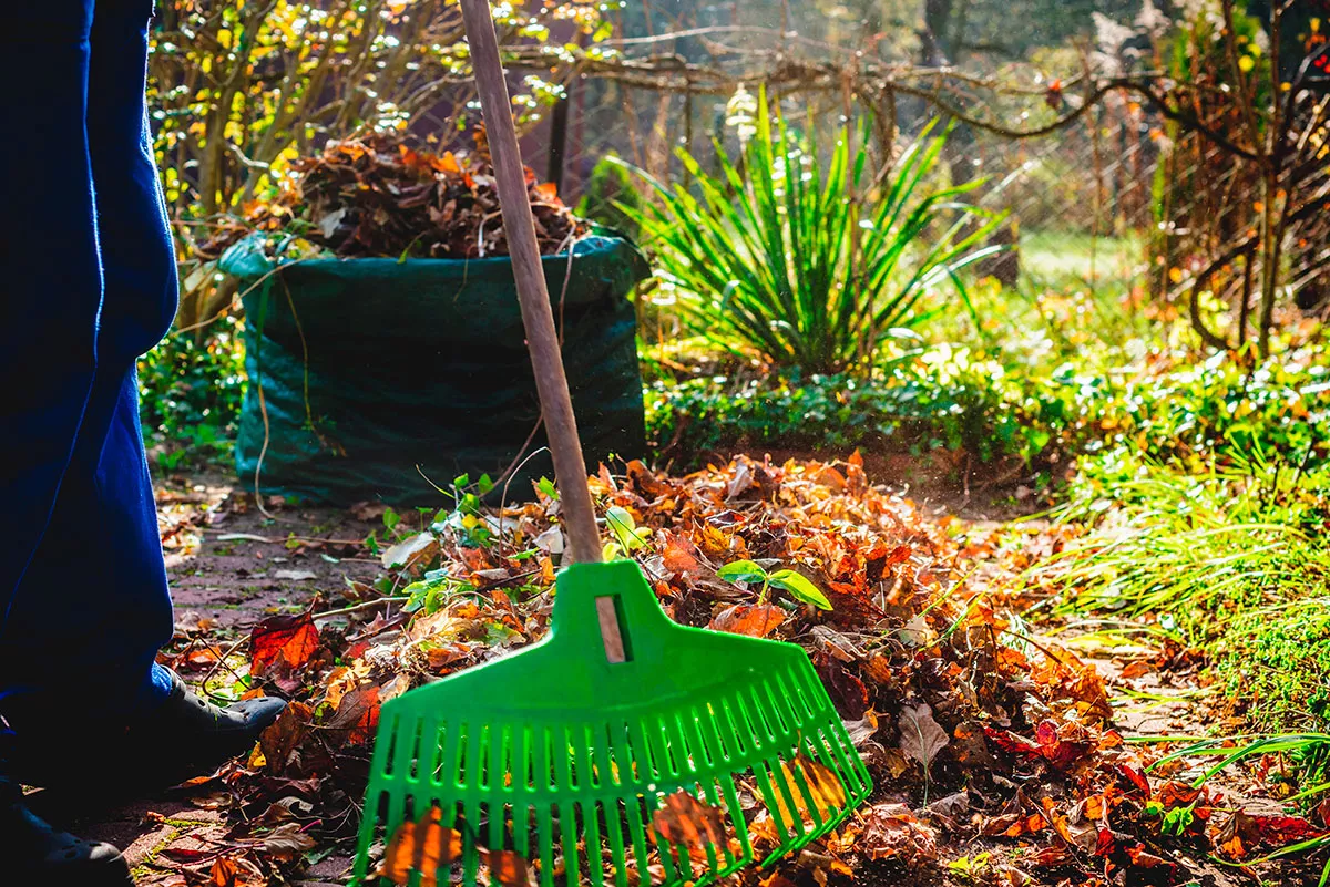 Wat te doen in de tuin in februari