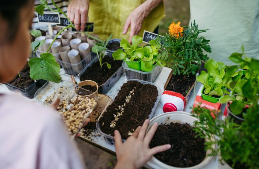 7 simpele en effectieve tips om je tuin als een professional te onderhouden