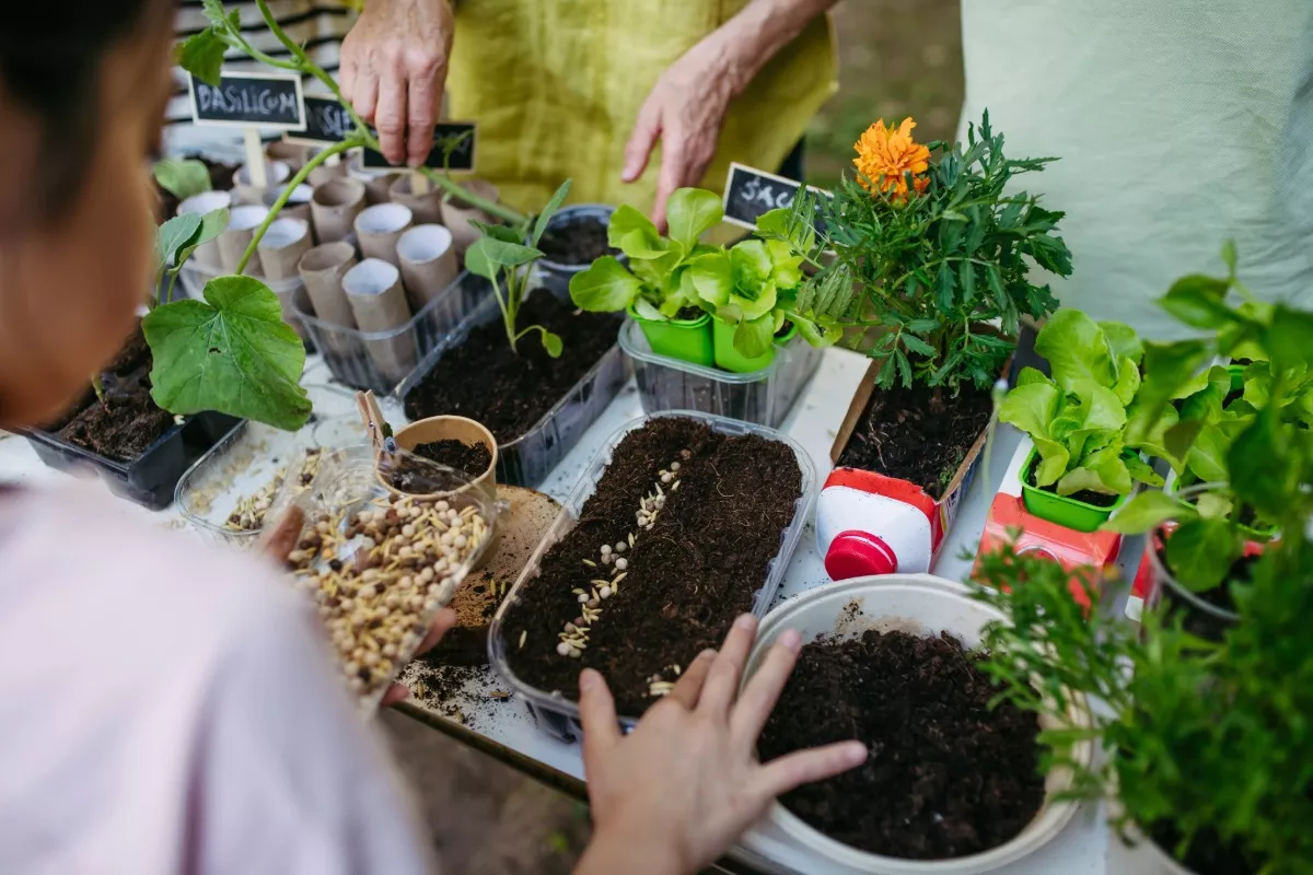 7 simpele en effectieve tips om je tuin als een professional te onderhouden