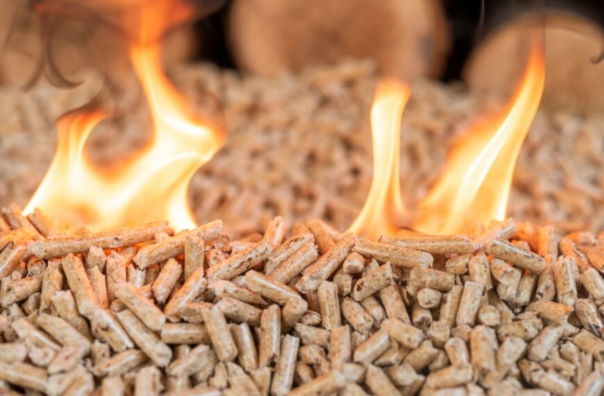 Gooi uw pelletasresten niet meer weg: ontdek 6 onbekende maar zeer nuttige toepassingen
