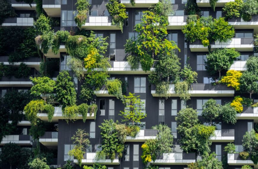Is uw balkon op het westen gericht? Hier is hoe u efficiënt kunt tuinieren