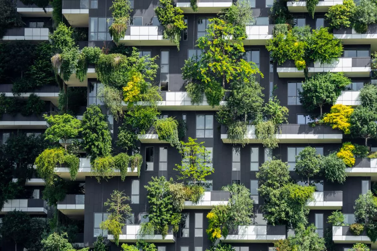 Is uw balkon op het westen gericht? Hier is hoe u efficiënt kunt tuinieren