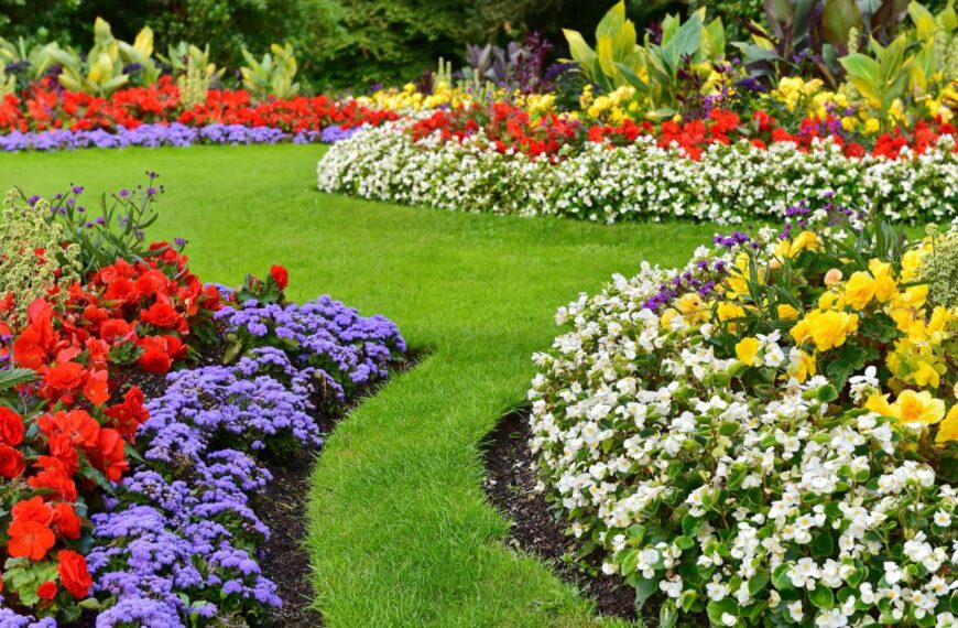 Kleine tuin, grote effecten: slimme tips om elke vierkante meter te optimaliseren