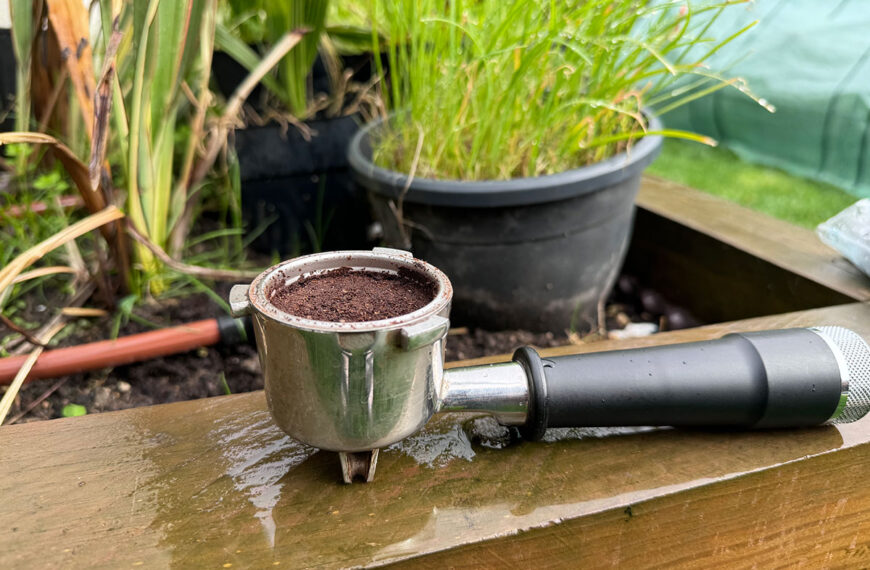 Koffiedik in de tuin